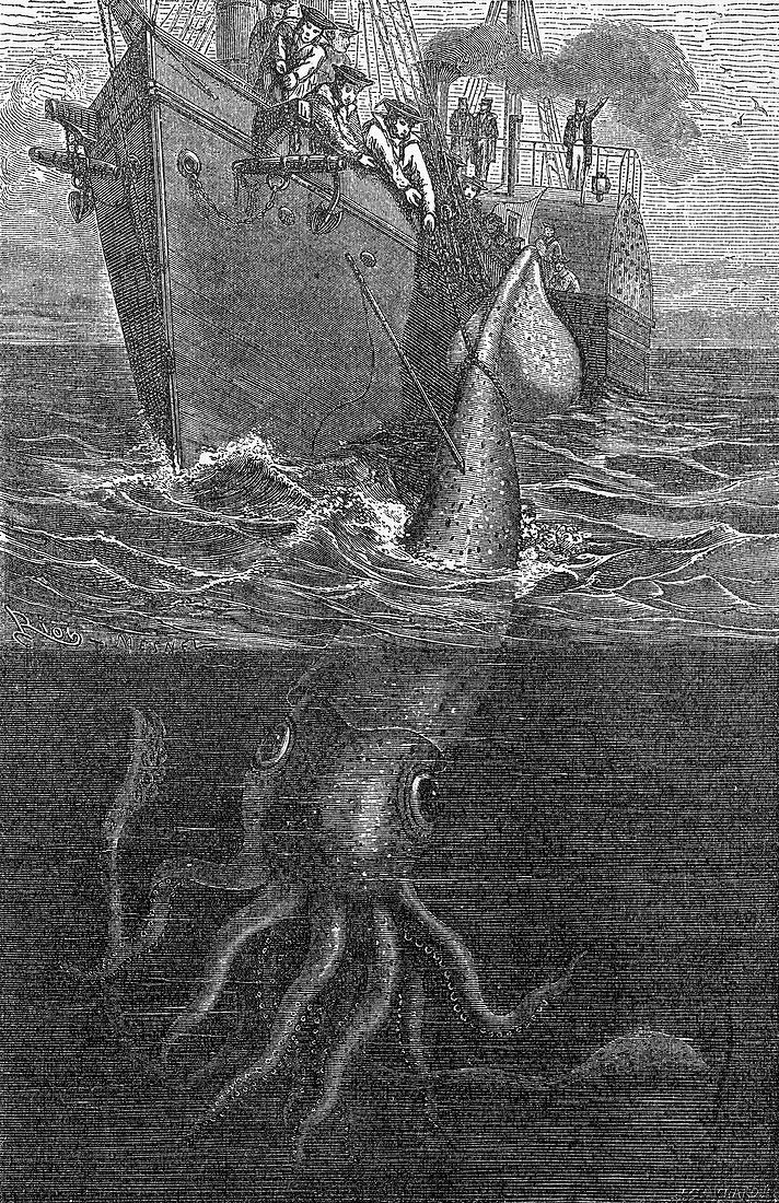 Gigantic squid and ship,19th century