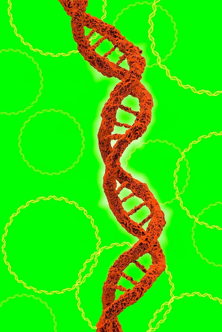 DNA molecules,artwork