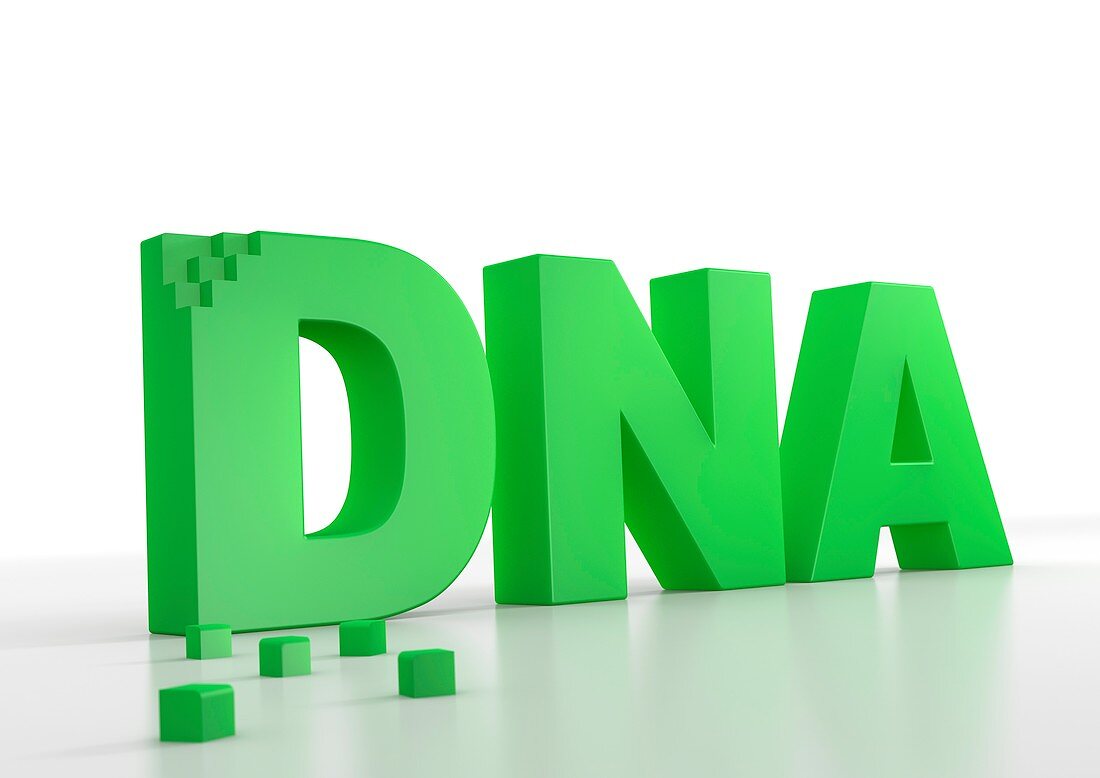 DNA building blocks,conceptual image