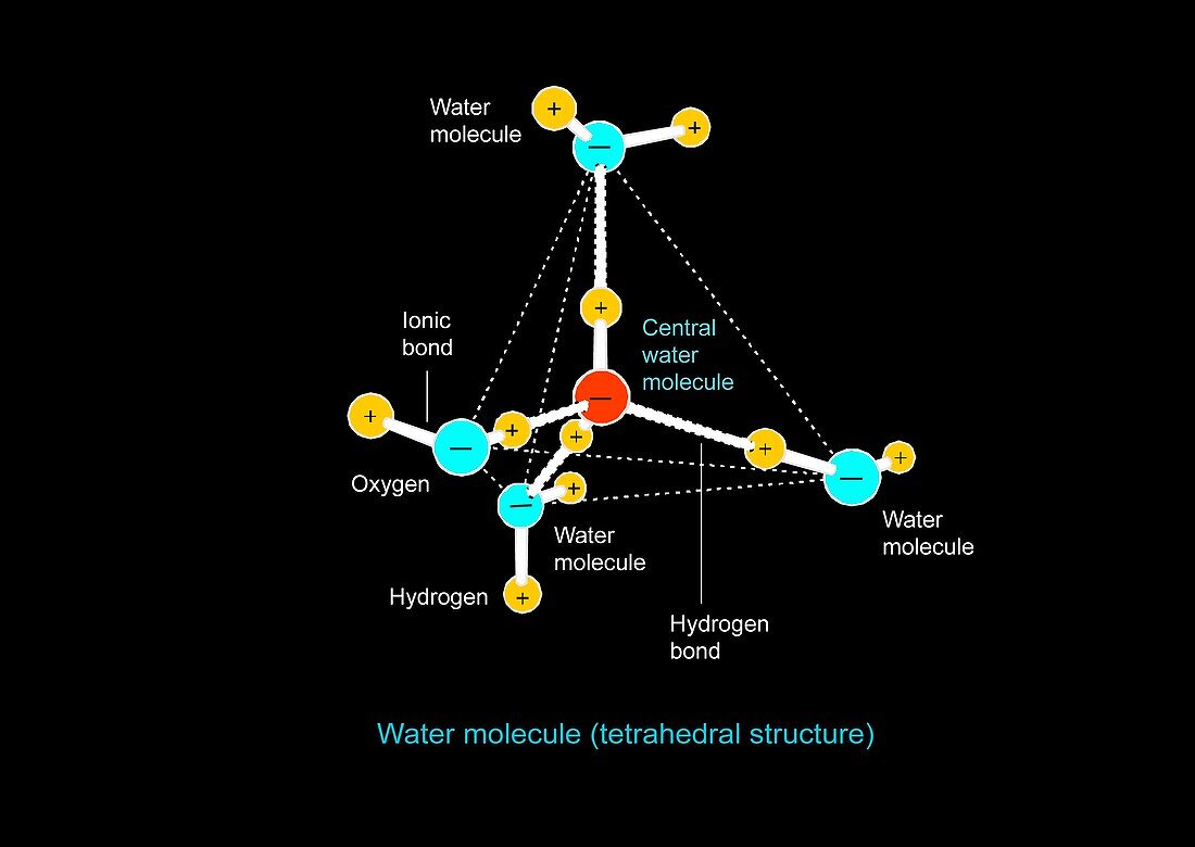Water molecule,artwork