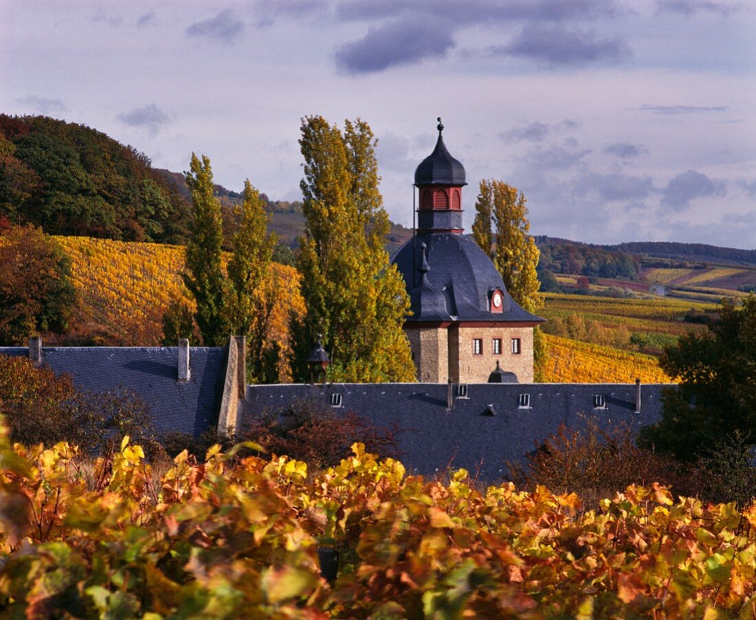 Schloss Vollrads und Lage Schlossberg bei Winkel im Rheingau