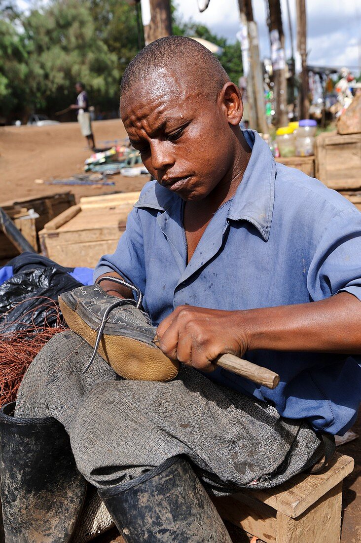 Disability employment,Kenya