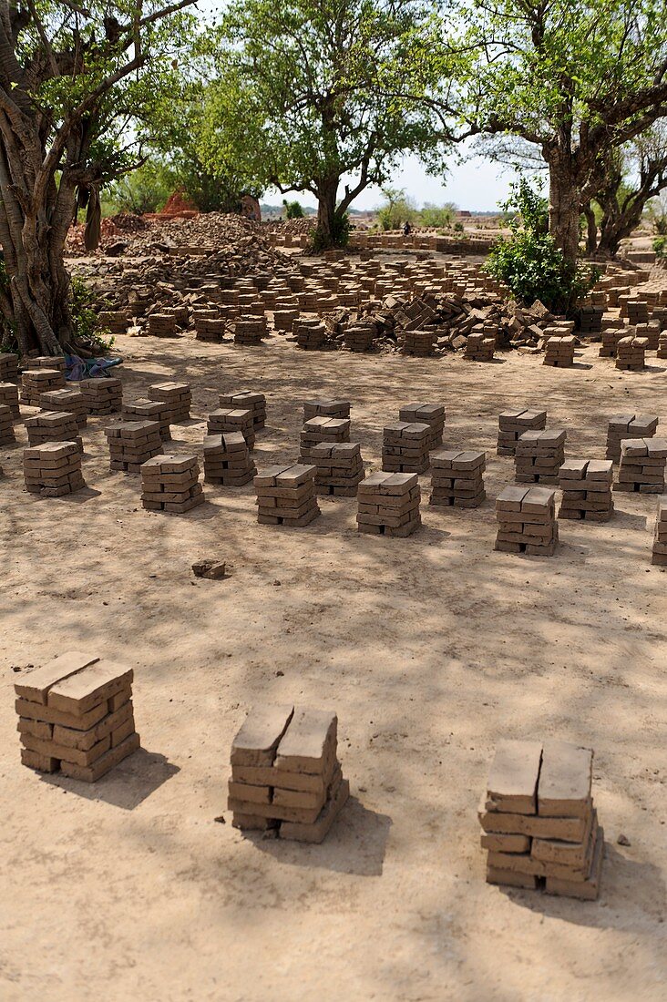 Mud bricks drying,Sudan