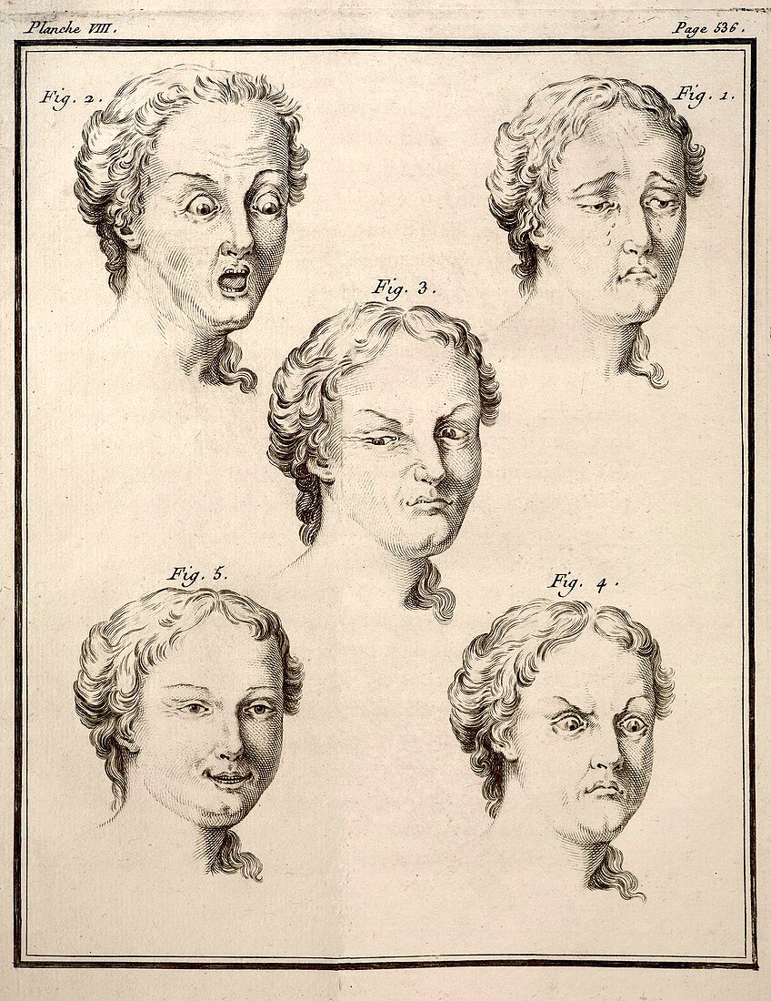 1749 Human emotions and expression Buffon