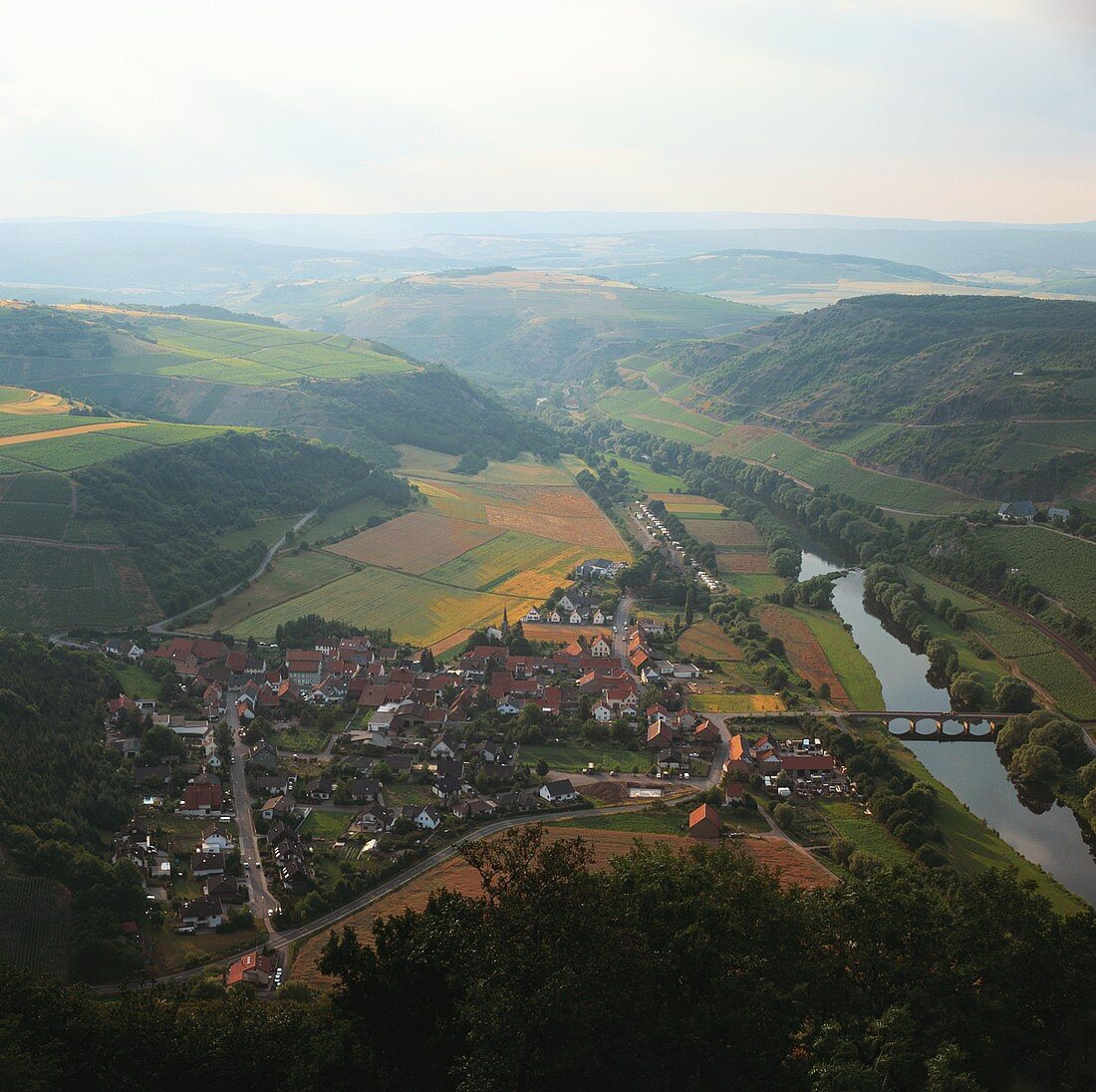 Blick auf den Weinort Oberhausen und seine Lagen an der Nahe