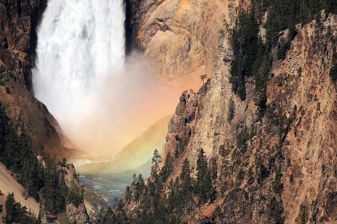 Lower Yellowstone Falls and spray rainbow