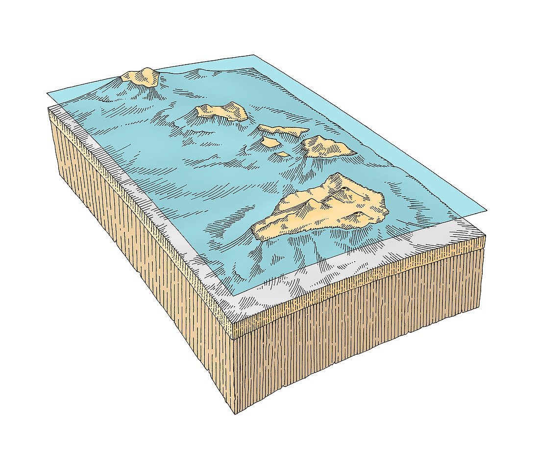 Hawaiian Islands topography
