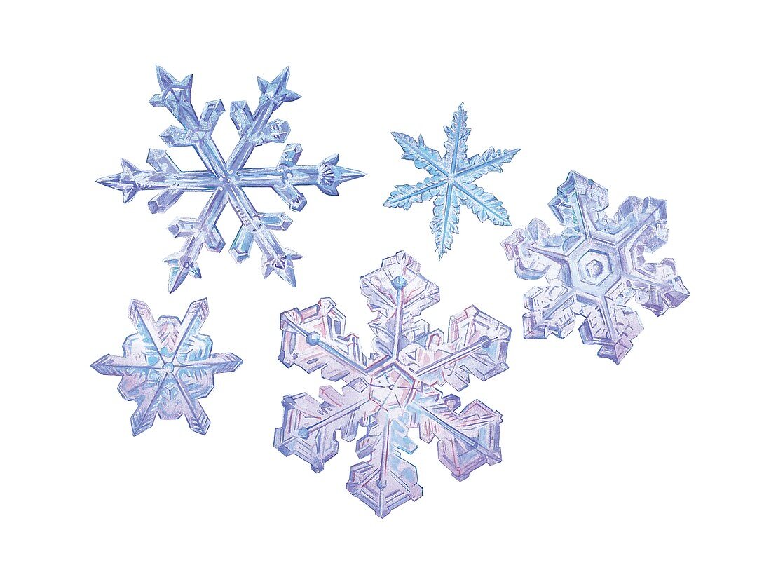 Snowflakes,artwork