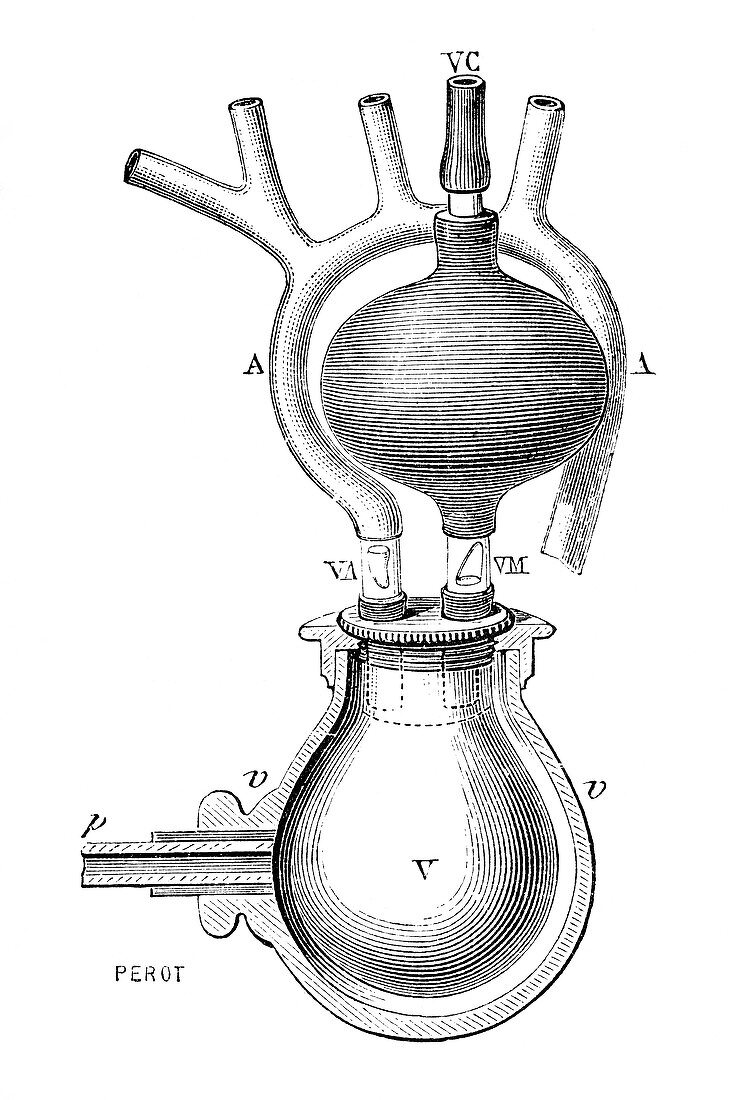 Artificial heart,19th century