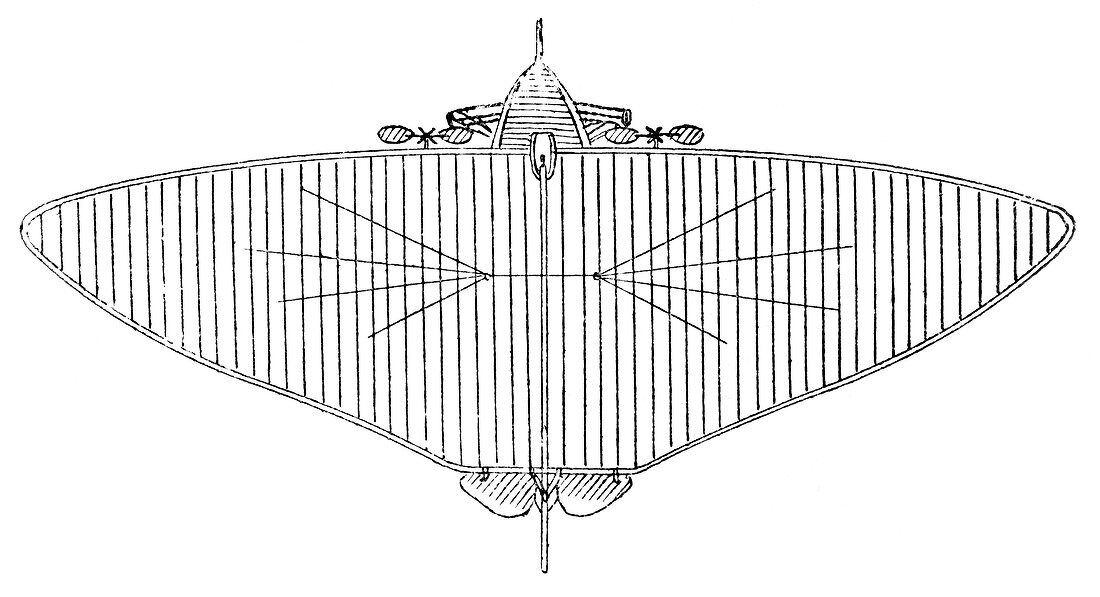 19th Century monoplane design