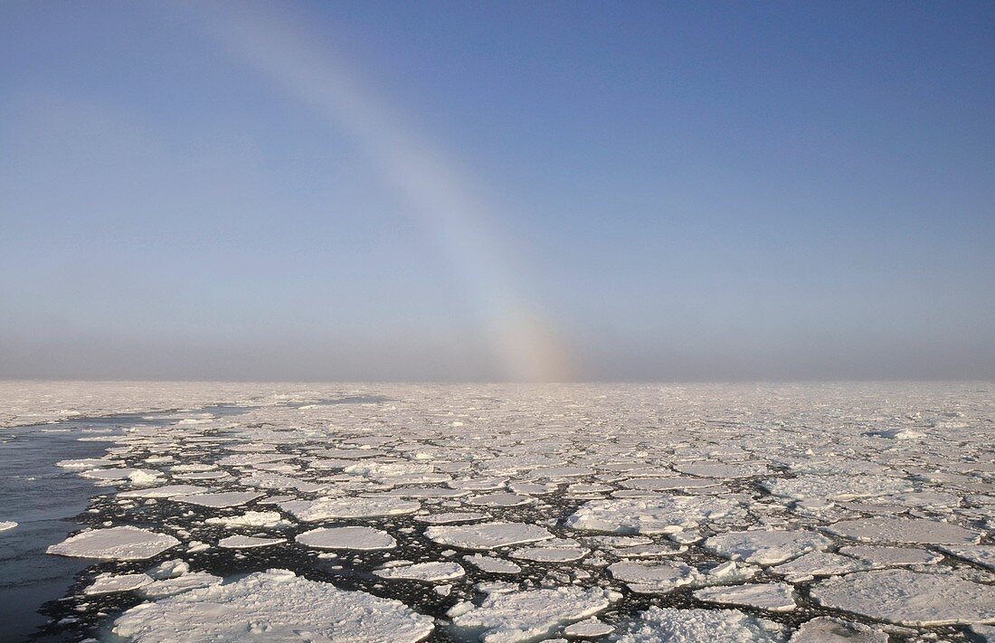 Snowbow over pack ice