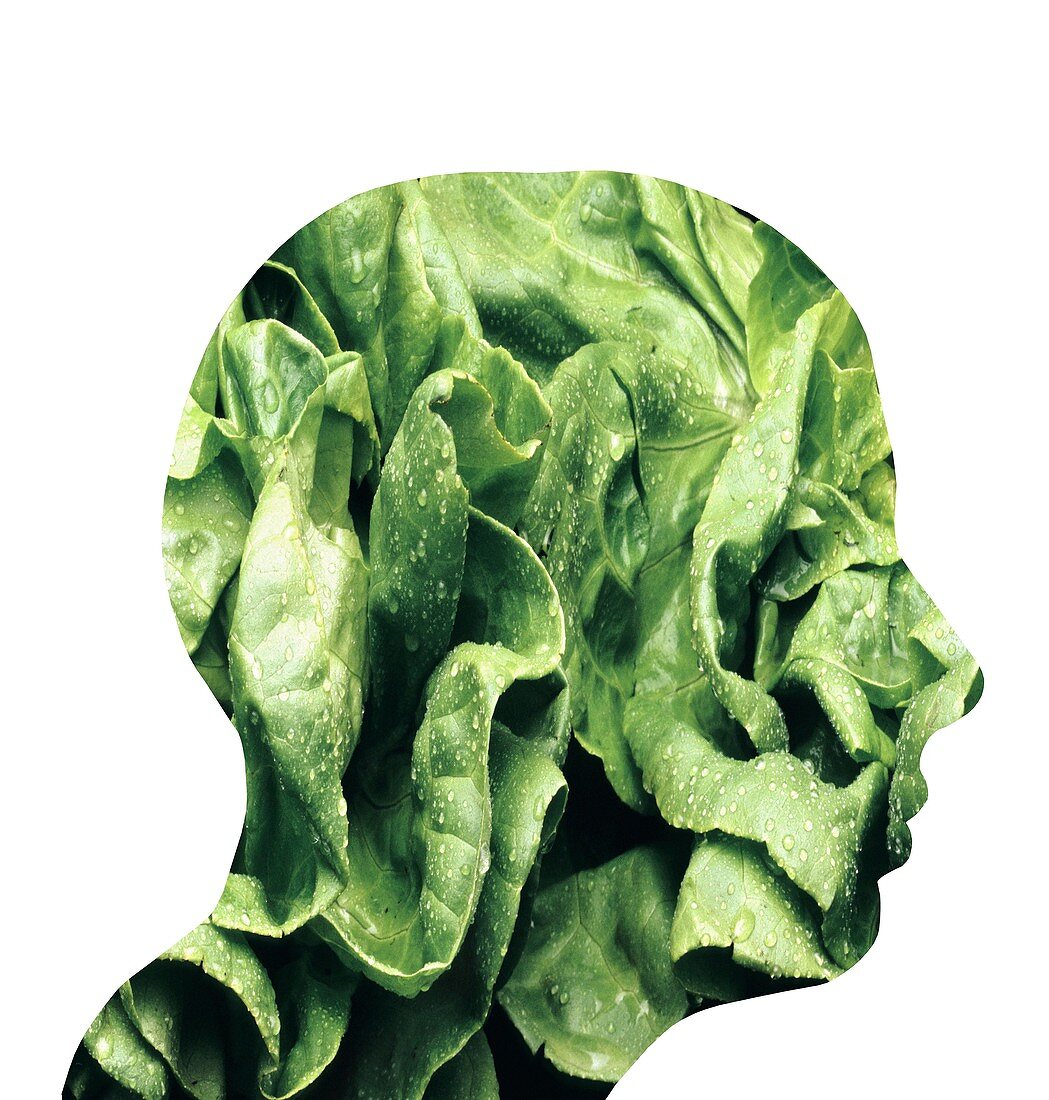 Vegetarianism,conceptual image