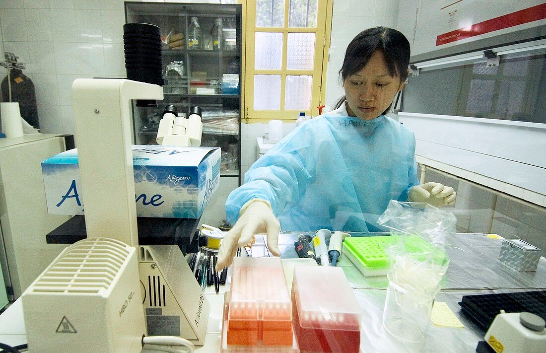Bird flu vaccine research,Vietnam