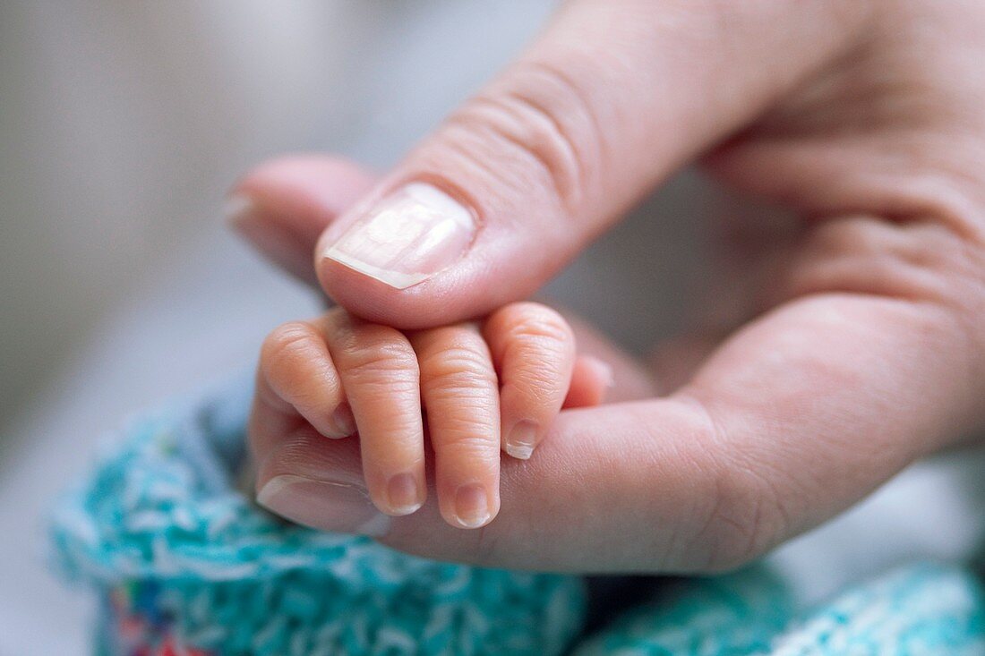 Newborn baby's grip reflex