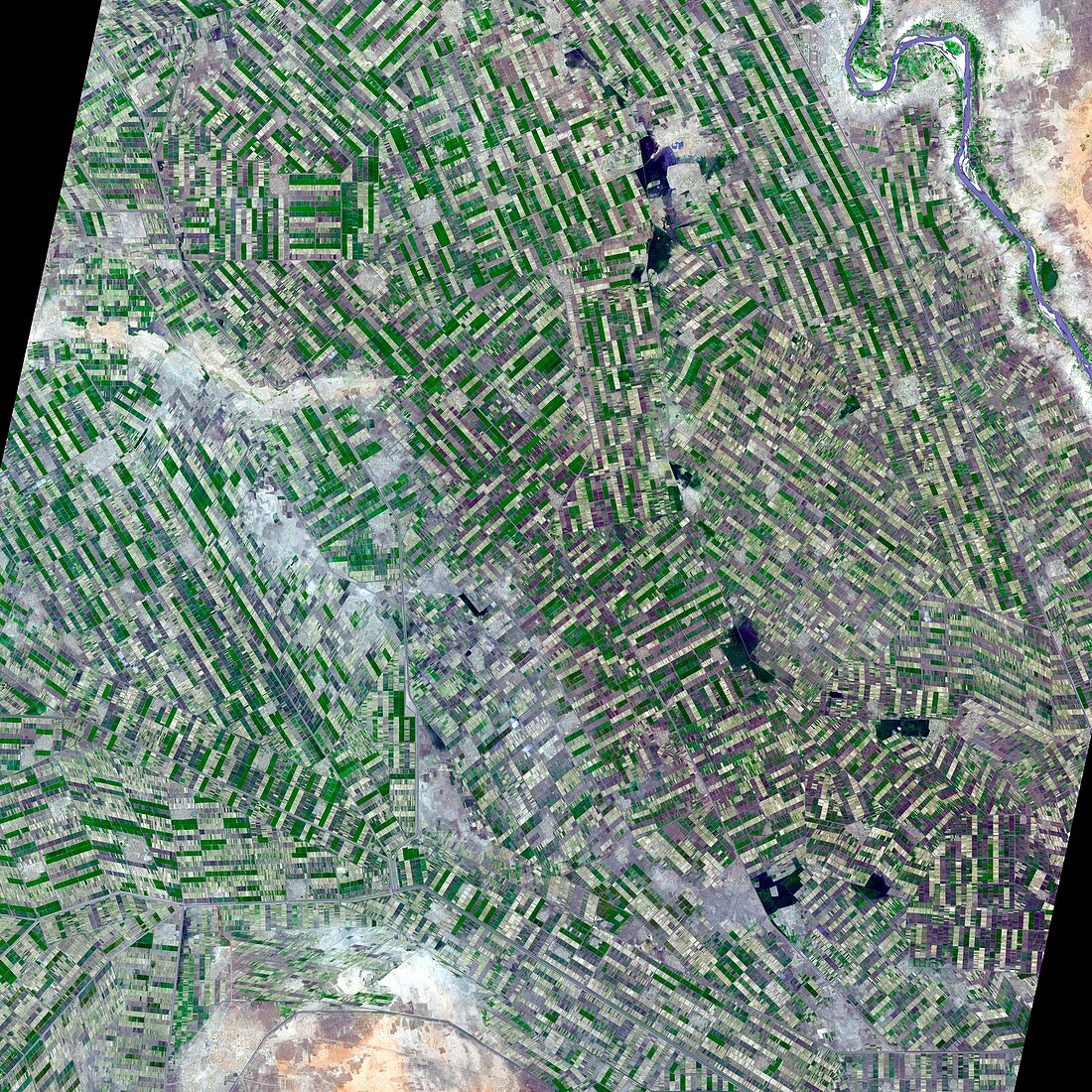Aljazirah,Sudan,from space
