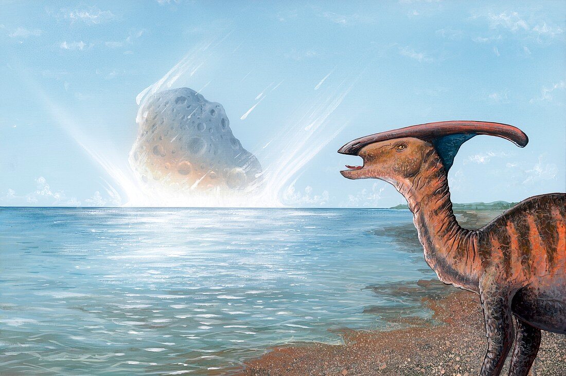 Parasaurolophus dinosaur and asteroid