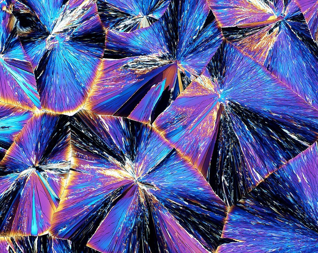 Tartaric acid crystals,light micrograph