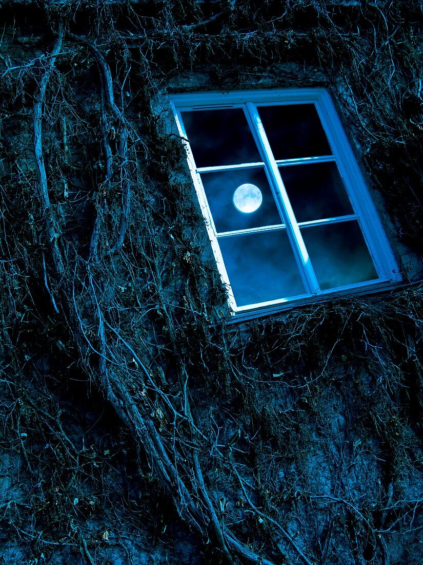 Full Moon reflected in a window