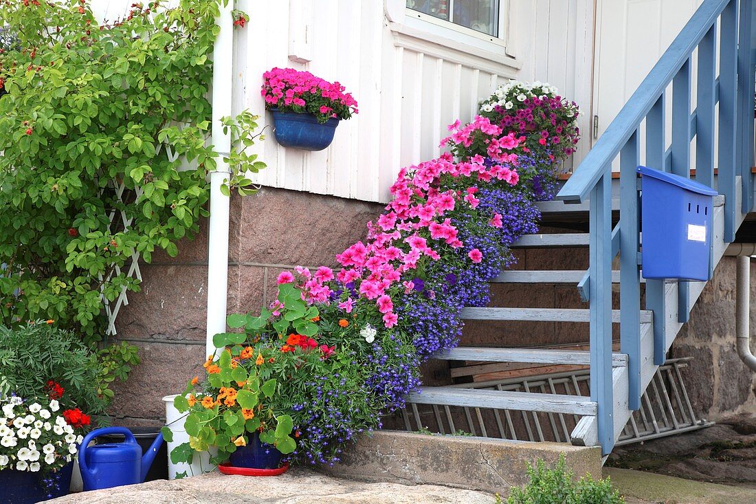 Flowers on porch stairs