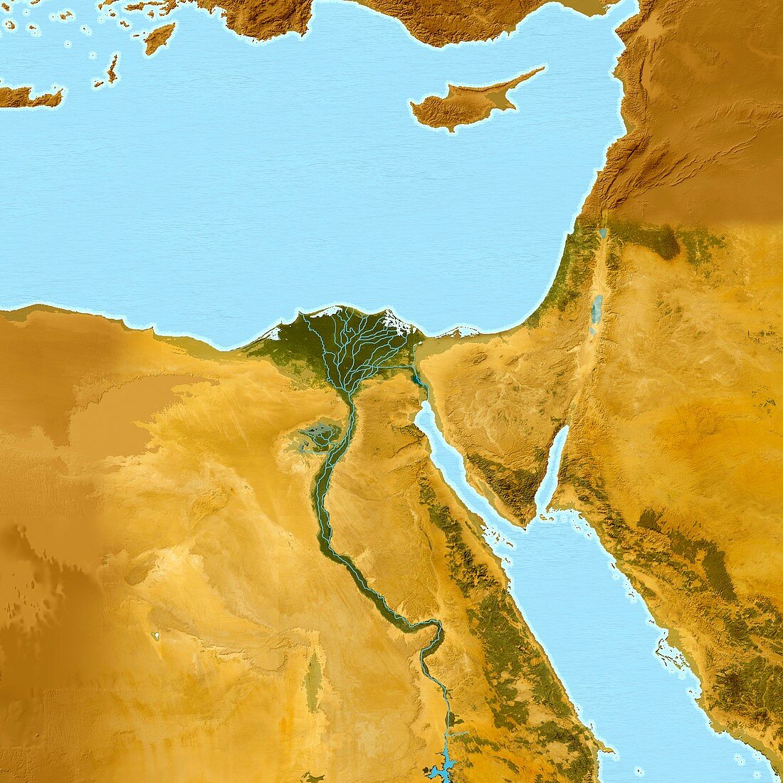The Nile,artwork