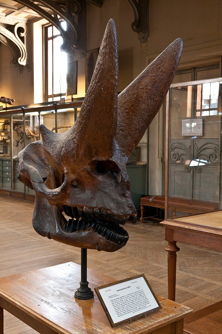 Natural history museum,France
