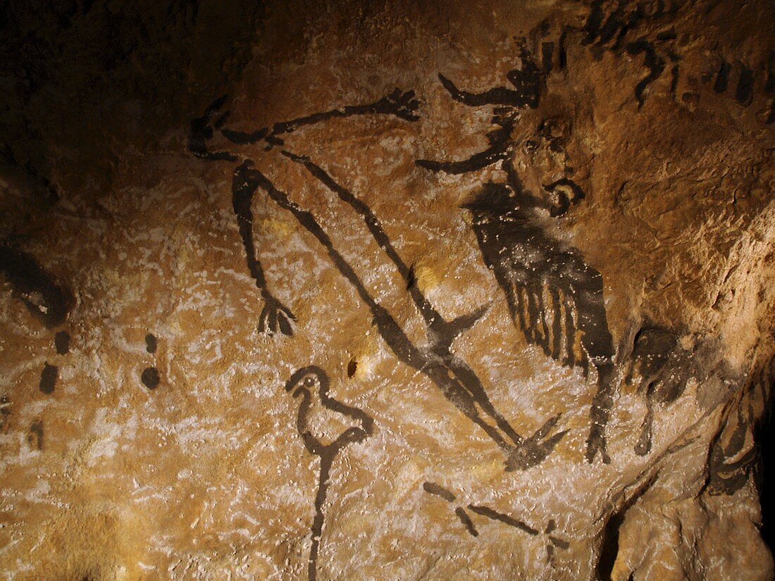 Stone-age cave paintings,Lascaux,France