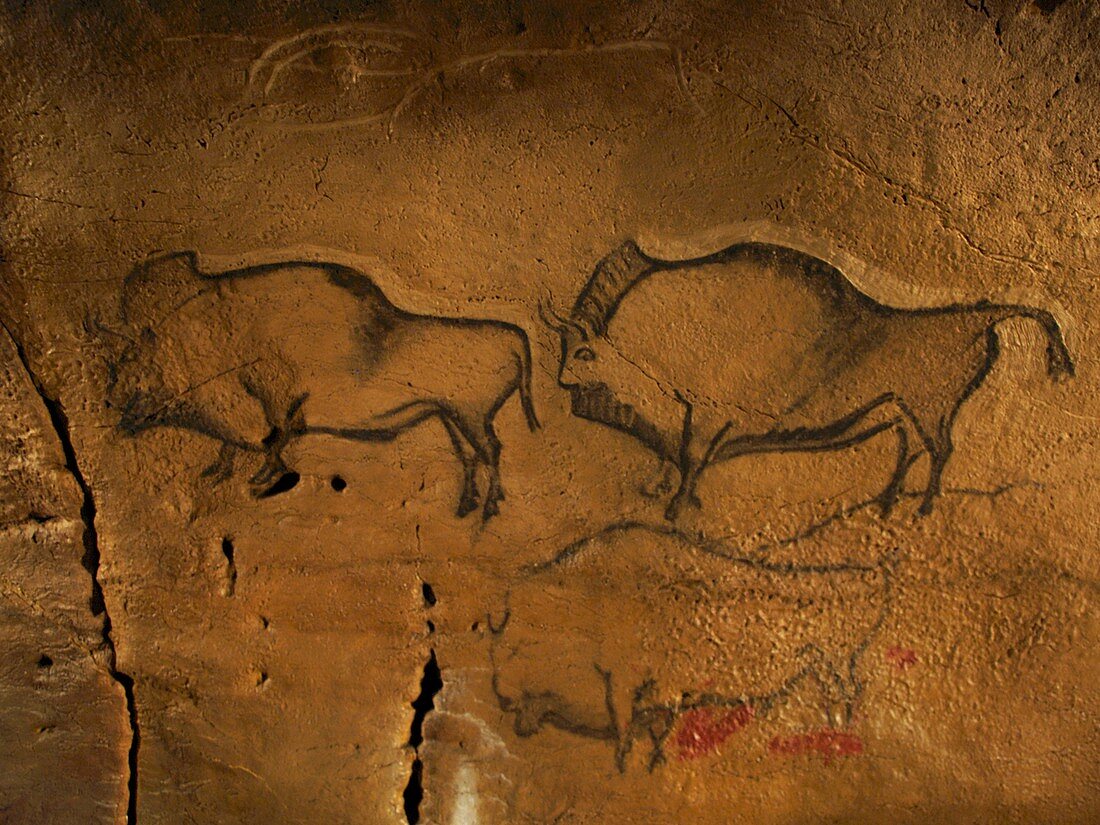Stone-age cave paintings,Asturias,Spain