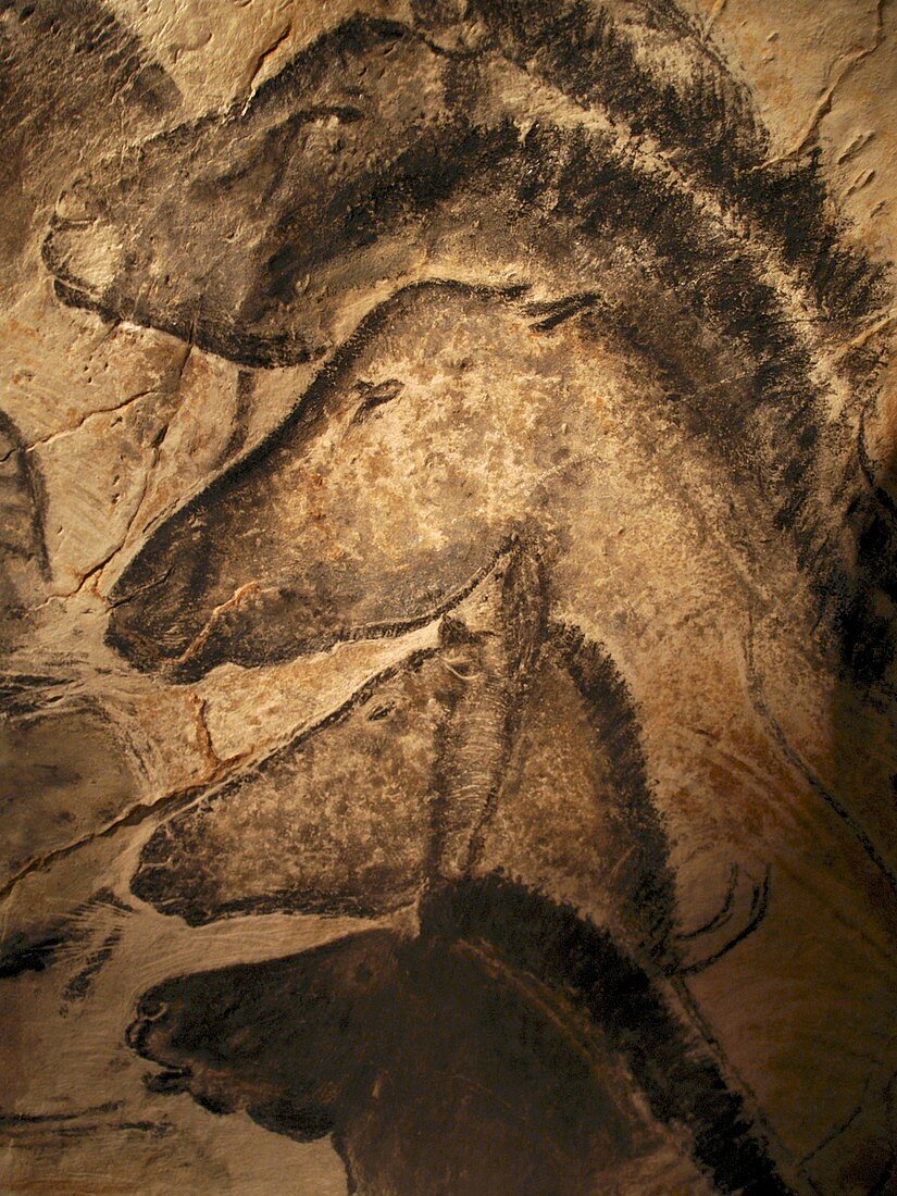 Stone-age cave paintings,Chauvet,France