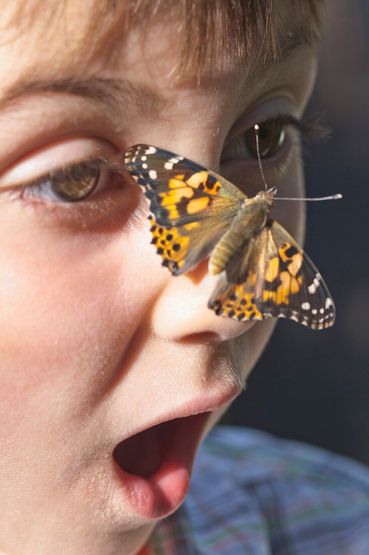 A butterfly landed on a childs nose