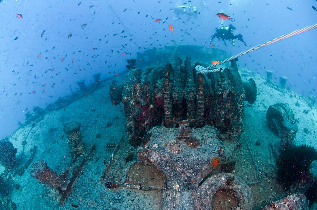 Divers at a shipwreck Ras Mohammed