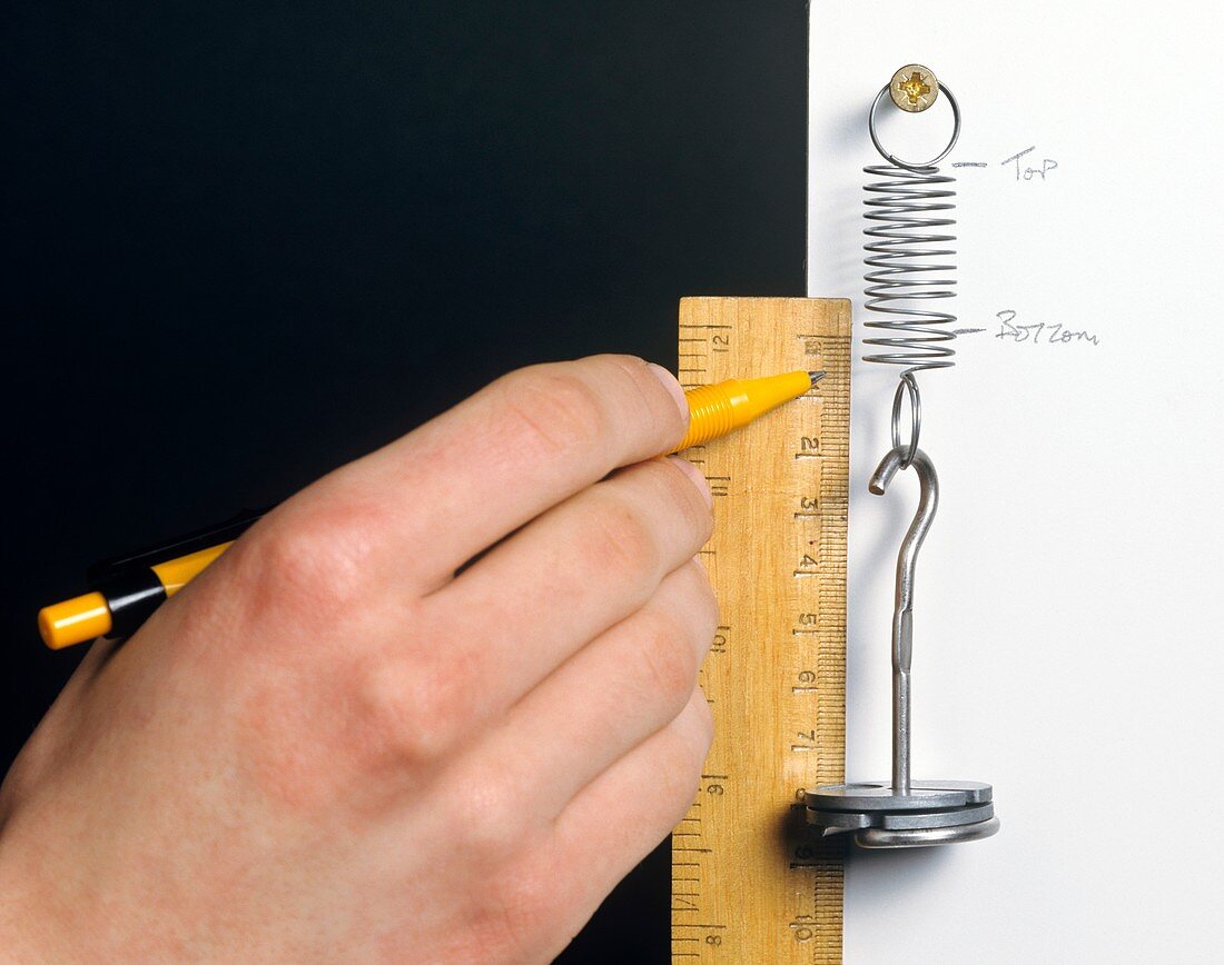 Hooke's Law experiment