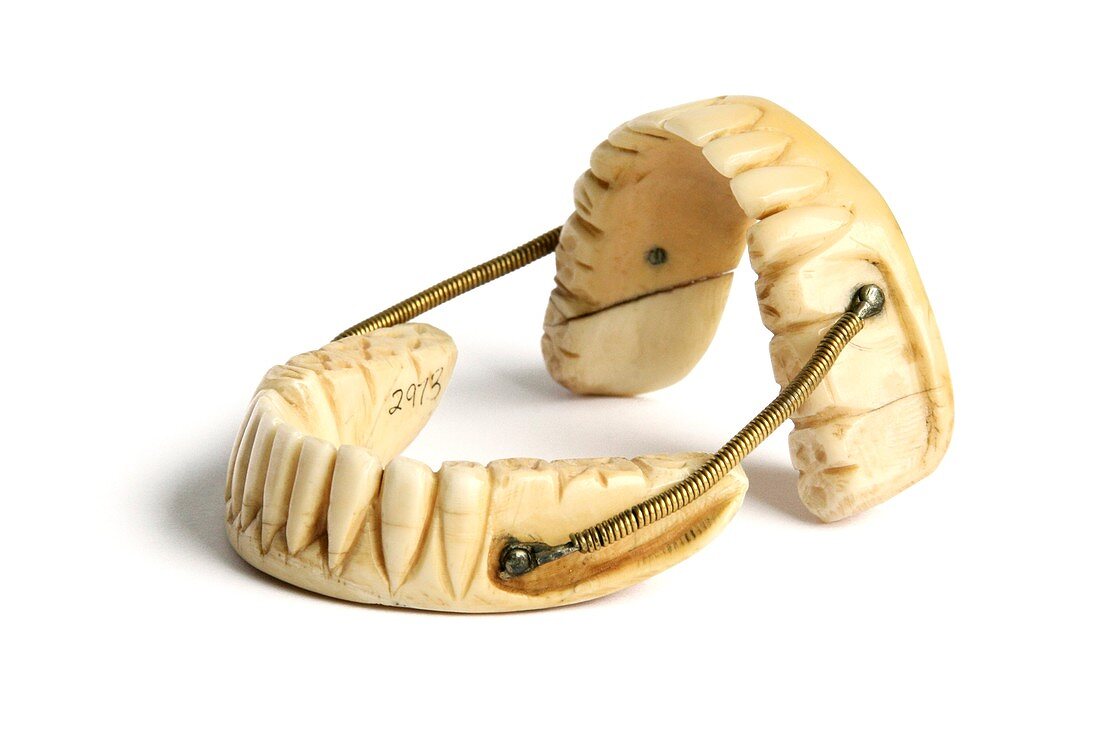 Ivory dentures with springs