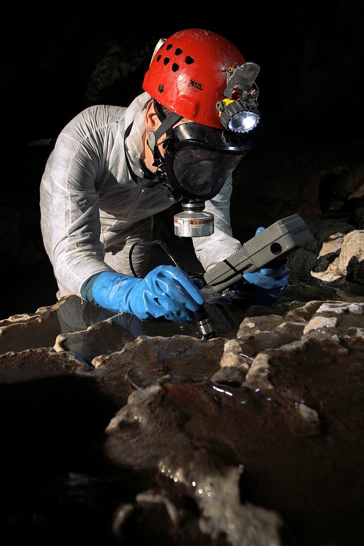 Cave research,Mexico