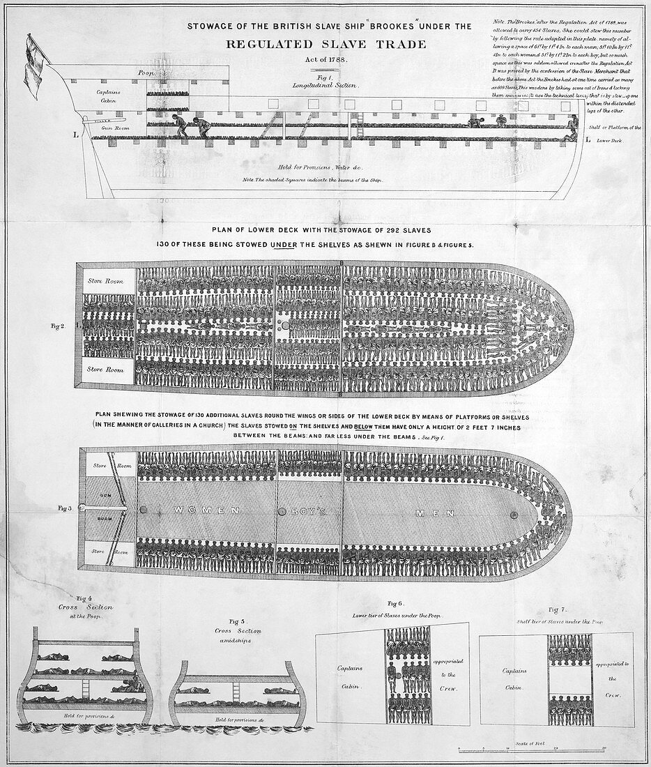 Slave ship diagrams,18th century
