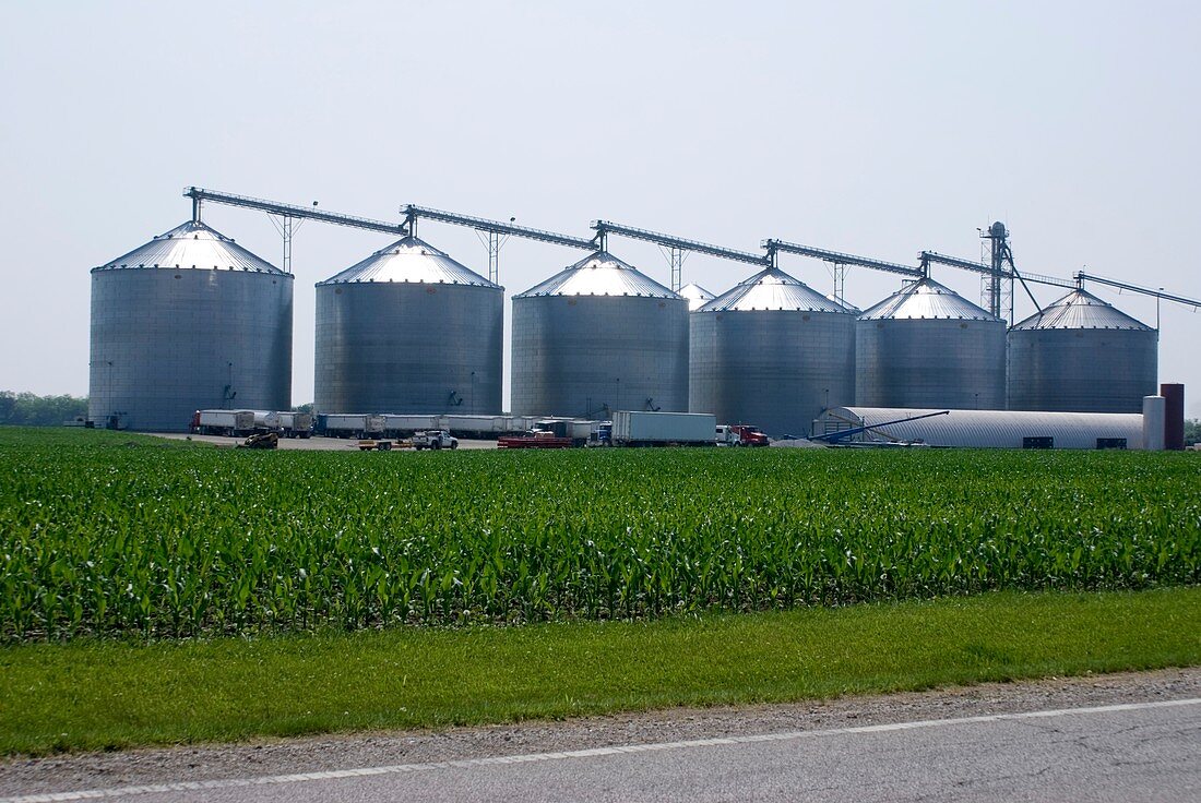 Grain silos in Illinois,USA