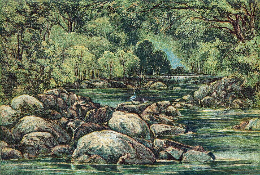 River in Tasmania,19th century