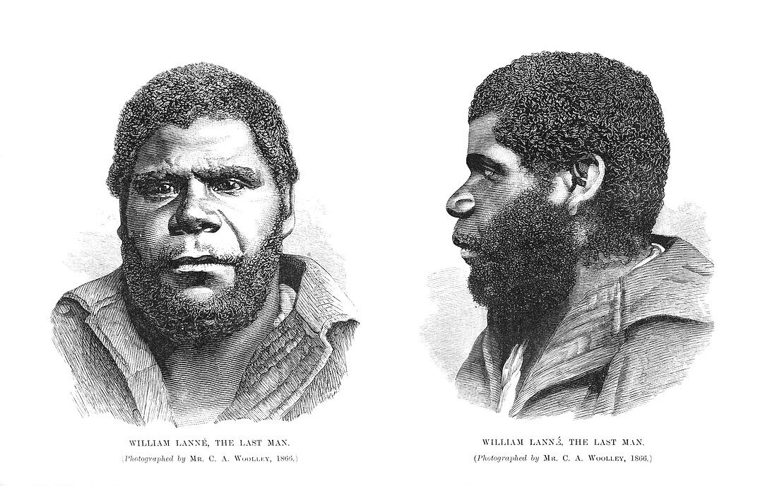 Last Tasmanian man,19th century