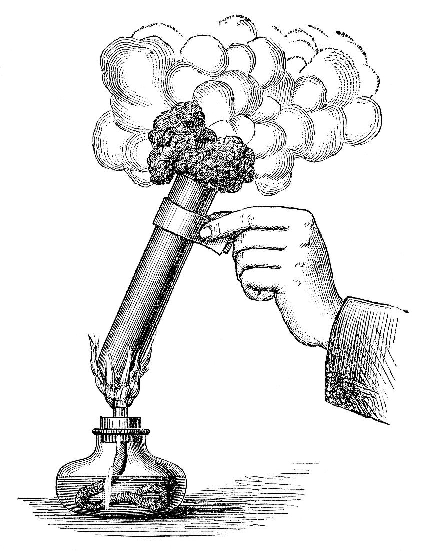 Sugar dehydration,19th century