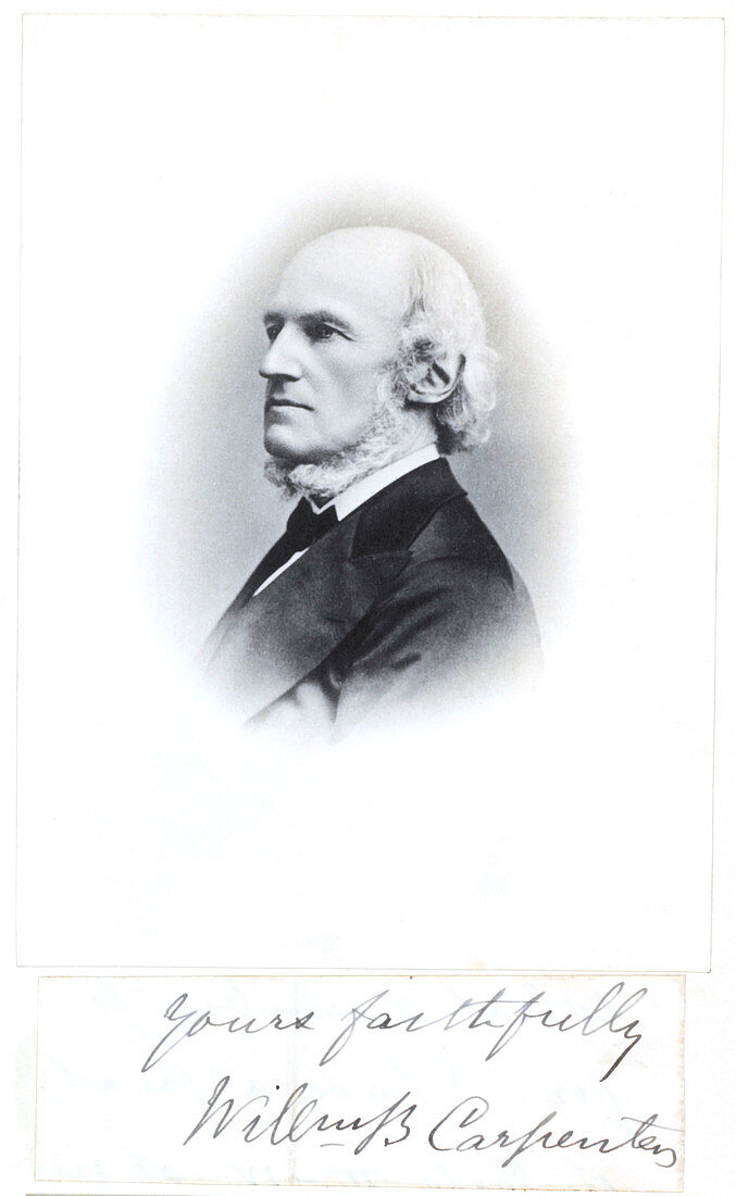 William Carpenter,English zoologist