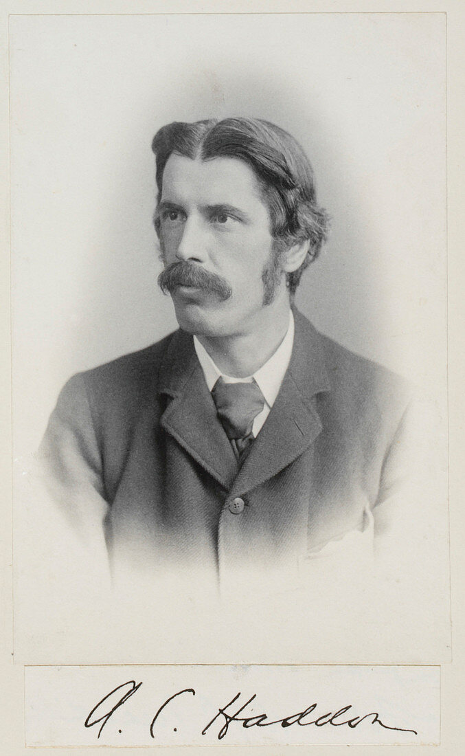 Alfred Cort Haddon,British zoologist