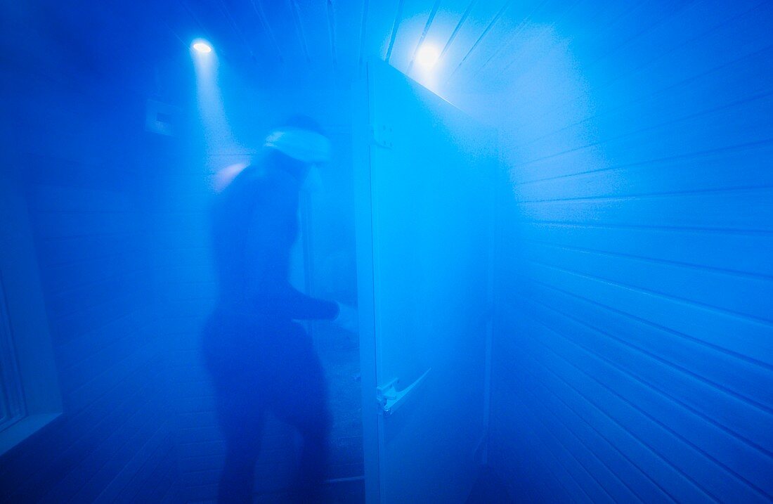 Cryogenic chamber therapy