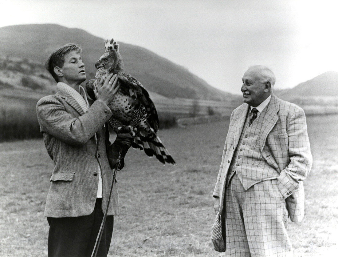 Henry and Bannerman with bird-of-prey