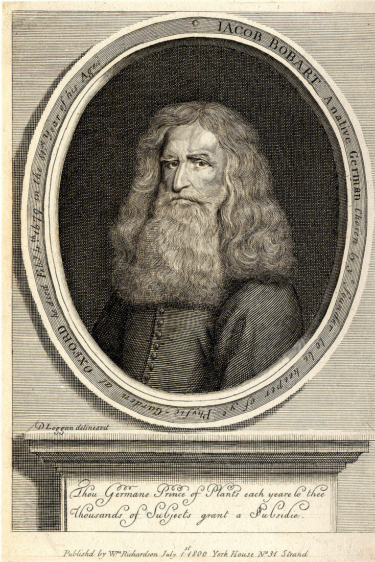 Jacob Bobart the Elder,German botanist