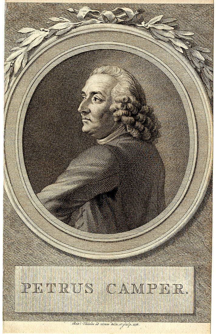 Petrus Camper,Dutch anatomist