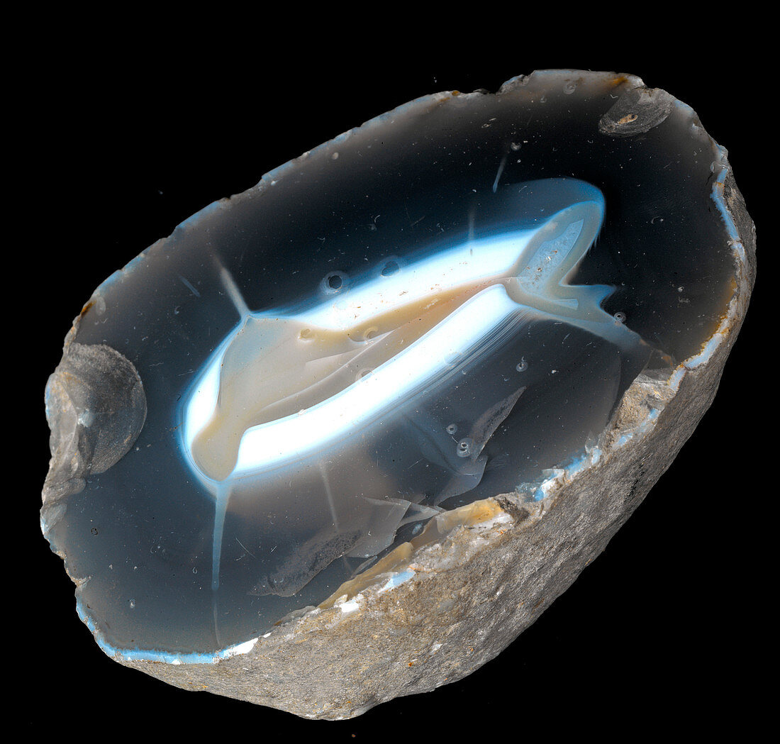Agate mineral rock cross section