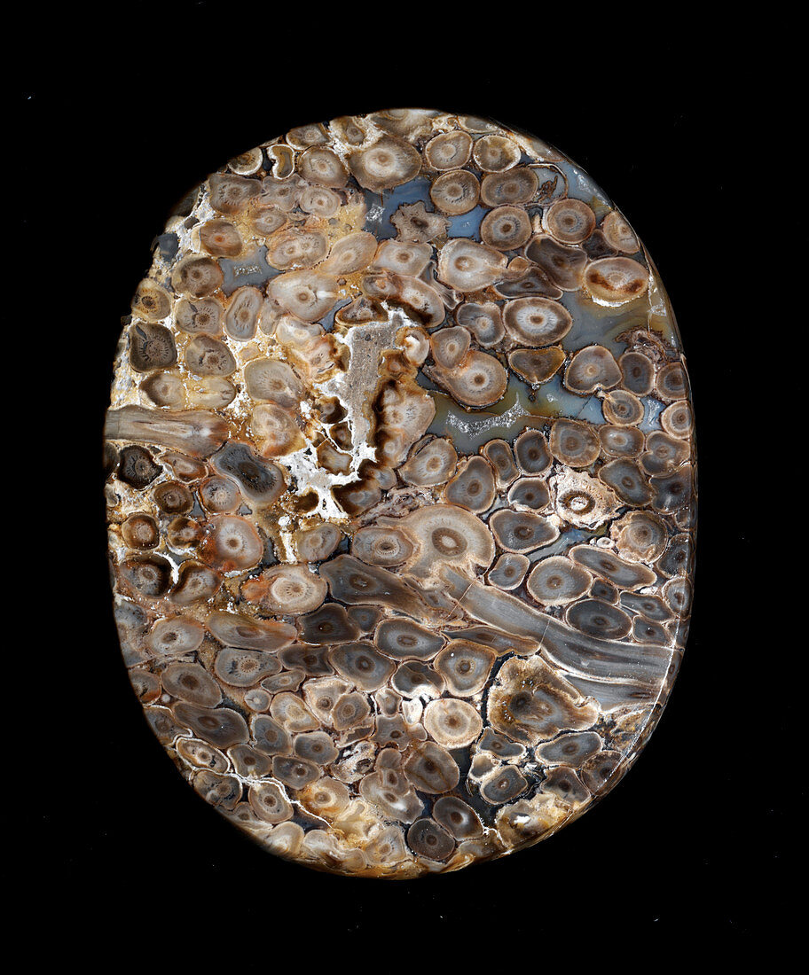 Agate cabuchon stone