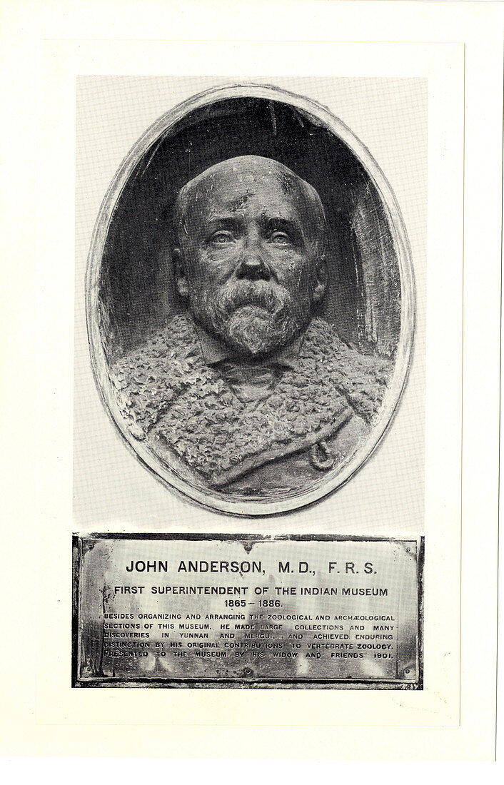 John Anderson,Scottish zoologist