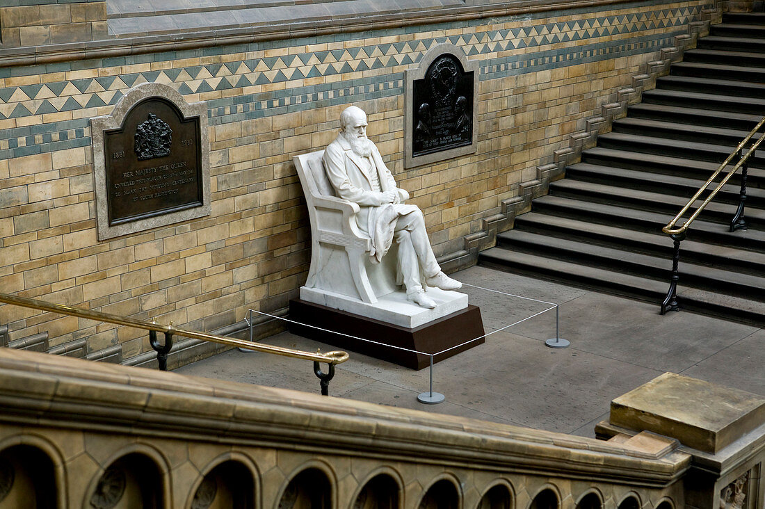 Charles Darwin,museum statue