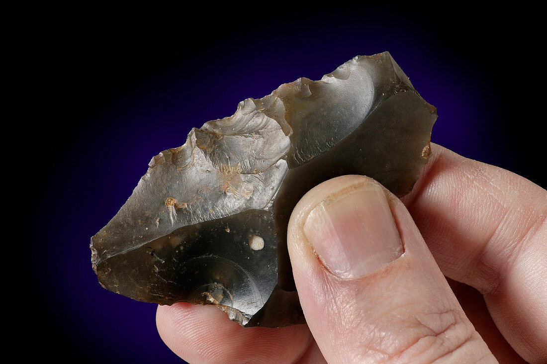 Prehistoric flint tool,Pakefield