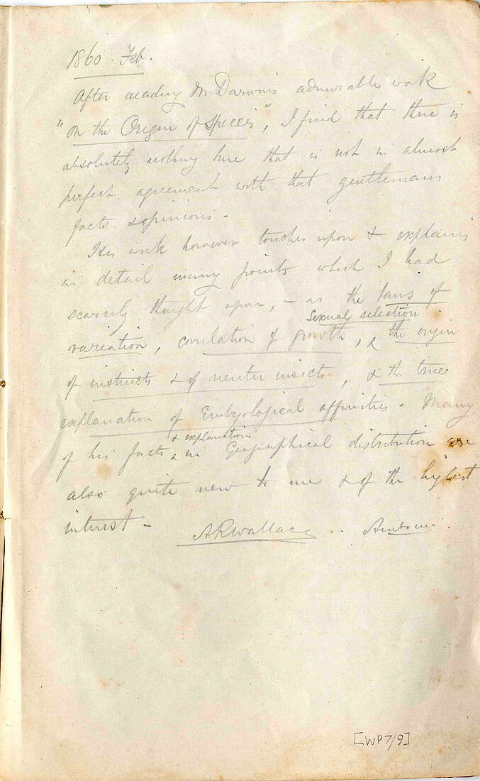 Notes by Wallace on Darwin,1860